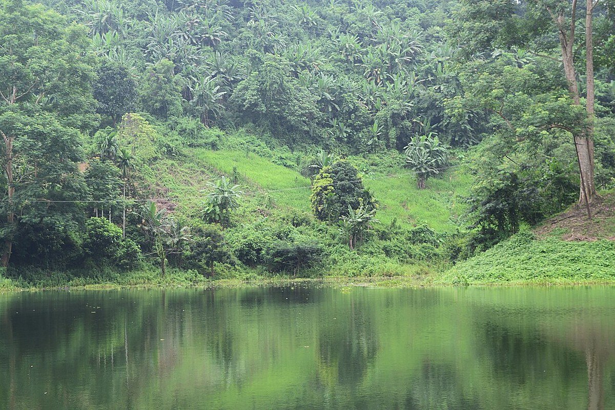 The real forested shoreline of Dumboor Lake